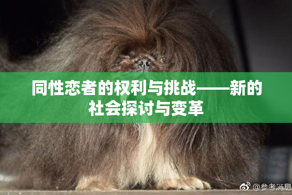 同性恋者的权利与挑战——新的社会探讨与变革