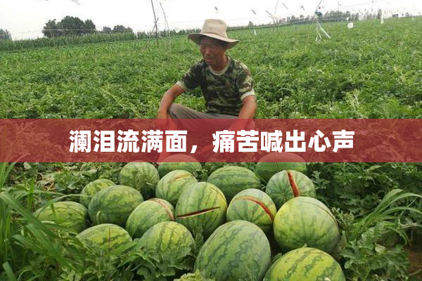 澜泪流满面，痛苦喊出心声