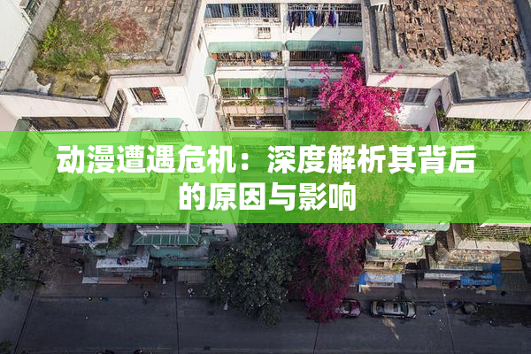 动漫遭遇危机：深度解析其背后的原因与影响