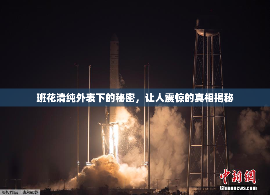 班花清纯外表下的秘密，让人震惊的真相揭秘
