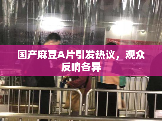 国产麻豆A片引发热议，观众反响各异