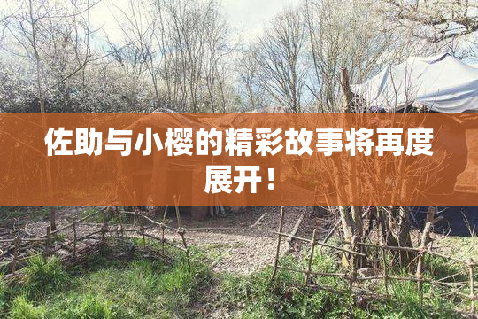 佐助与小樱的精彩故事将再度展开！