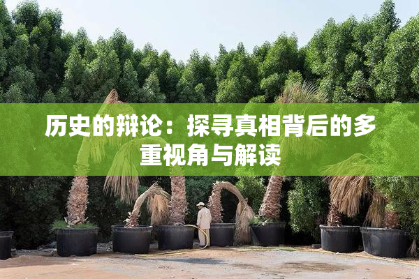 历史的辩论：探寻真相背后的多重视角与解读