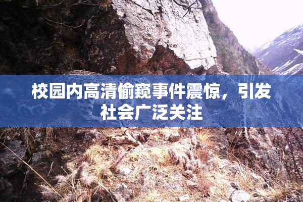 校园内高清偷窥事件震惊，引发社会广泛关注