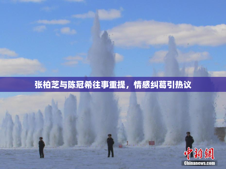 张柏芝与陈冠希往事重提，情感纠葛引热议