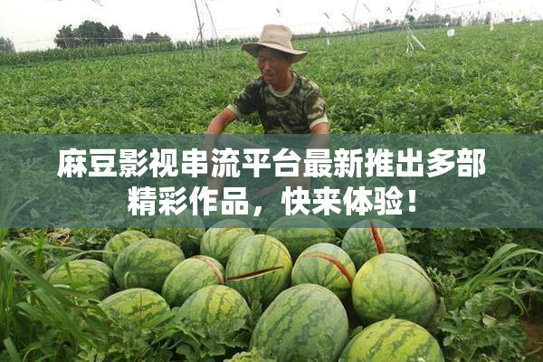 麻豆影视串流平台最新推出多部精彩作品，快来体验！