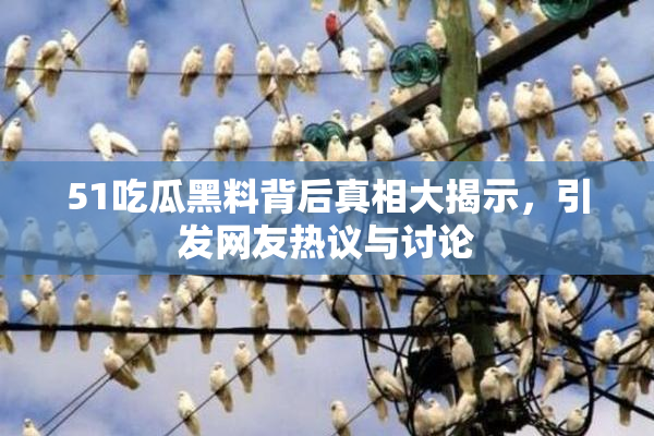 51吃瓜黑料背后真相大揭示，引发网友热议与讨论