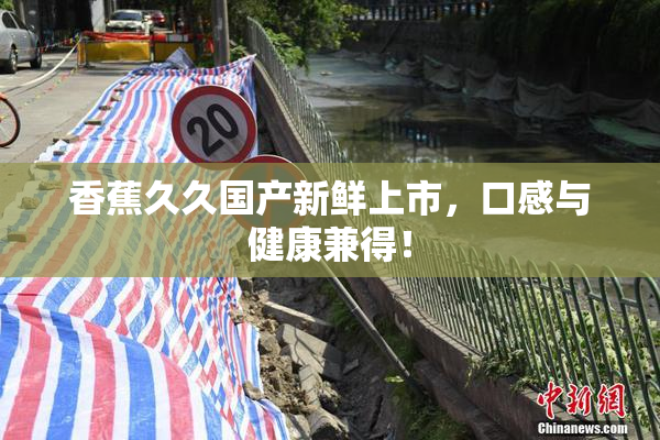 香蕉久久国产新鲜上市，口感与健康兼得！