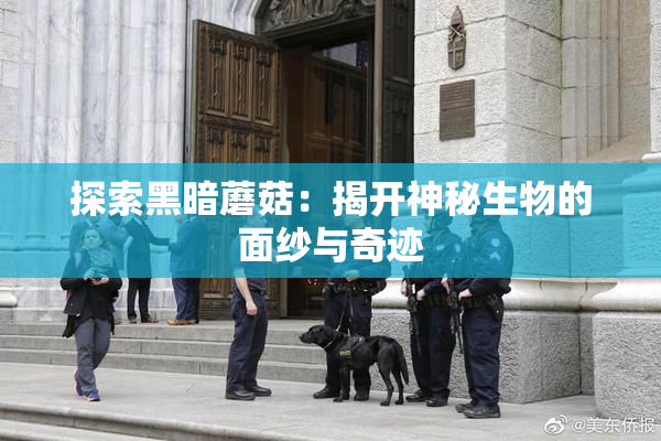 探索黑暗蘑菇：揭开神秘生物的面纱与奇迹
