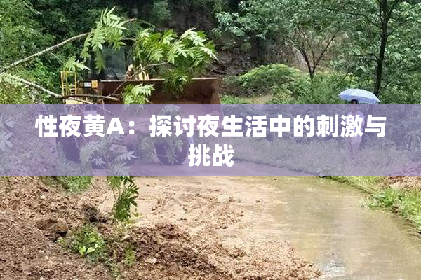 性夜黄A：探讨夜生活中的刺激与挑战