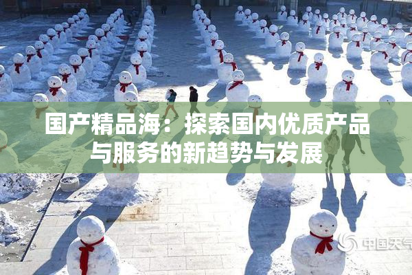 国产精品海：探索国内优质产品与服务的新趋势与发展