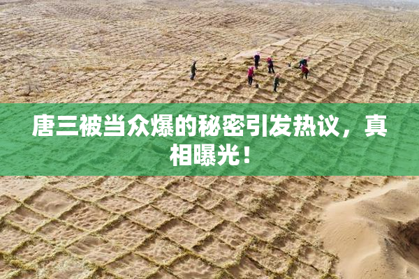 唐三被当众爆的秘密引发热议，真相曝光！