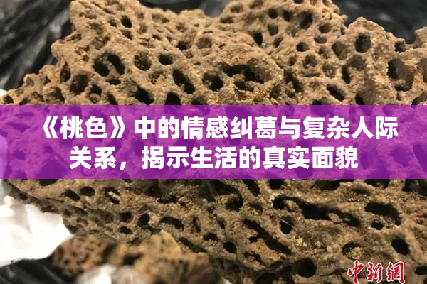 《桃色》中的情感纠葛与复杂人际关系，揭示生活的真实面貌