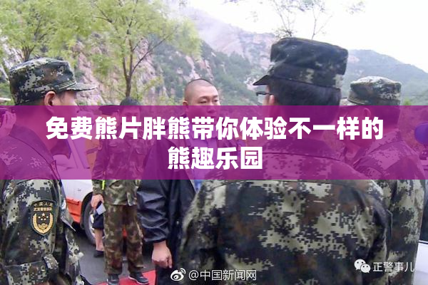 免费熊片胖熊带你体验不一样的熊趣乐园