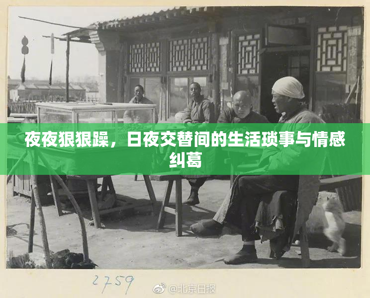 夜夜狠狠躁，日夜交替间的生活琐事与情感纠葛