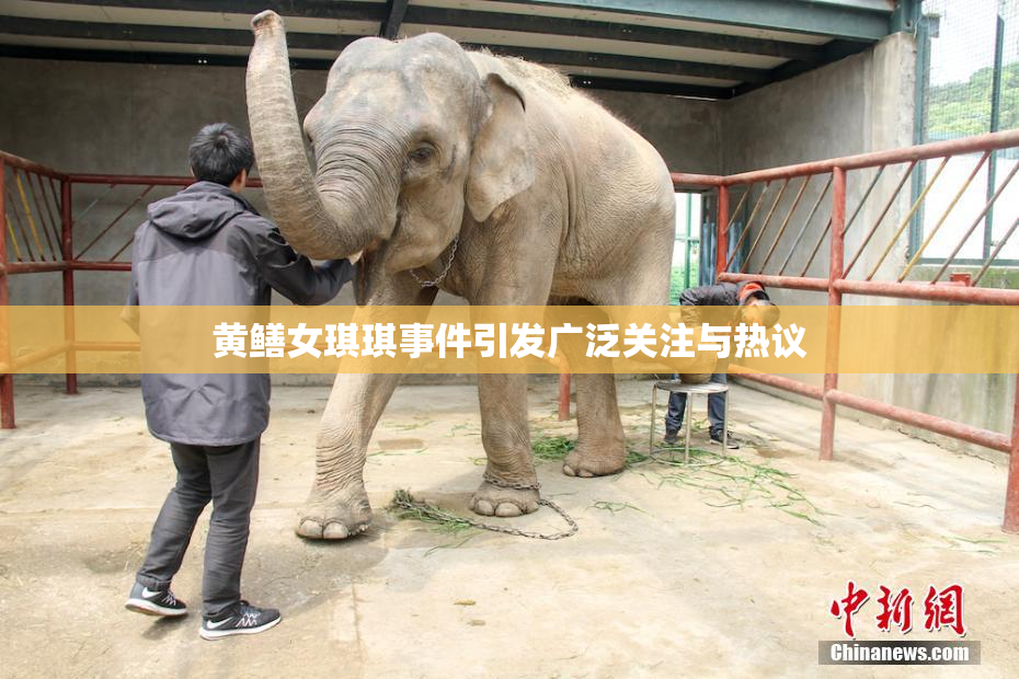 黄鳝女琪琪事件引发广泛关注与热议