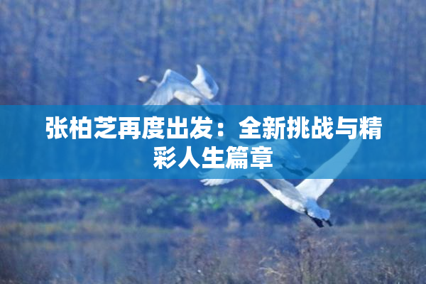 张柏芝再度出发：全新挑战与精彩人生篇章