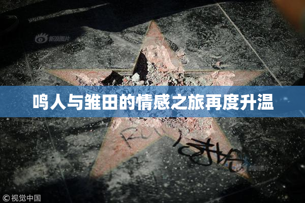 鸣人与雏田的情感之旅再度升温