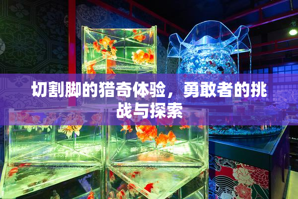 切割脚的猎奇体验，勇敢者的挑战与探索