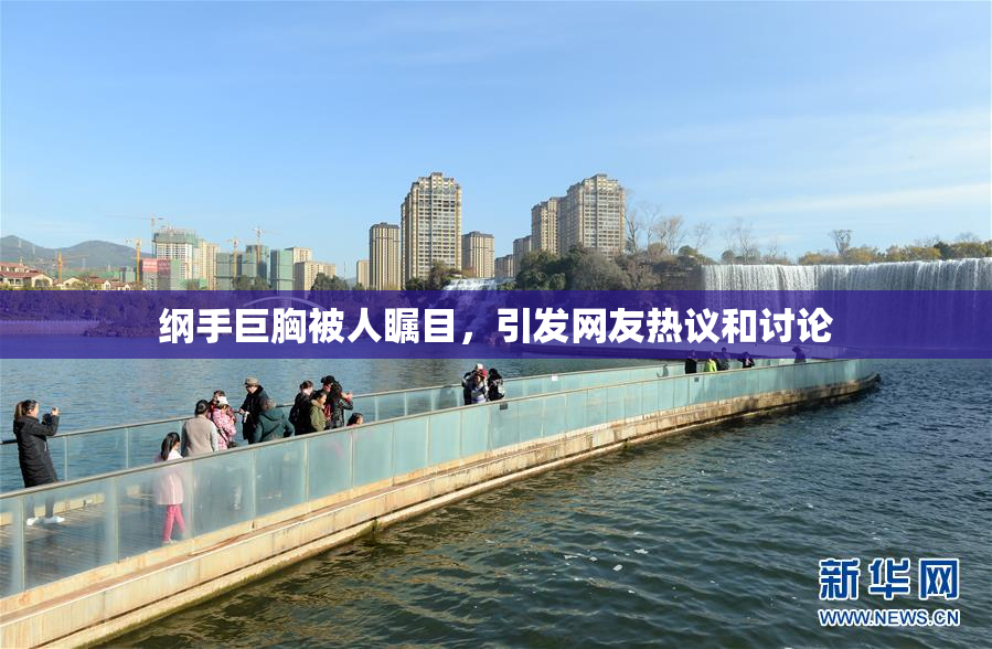 纲手巨胸被人瞩目，引发网友热议和讨论