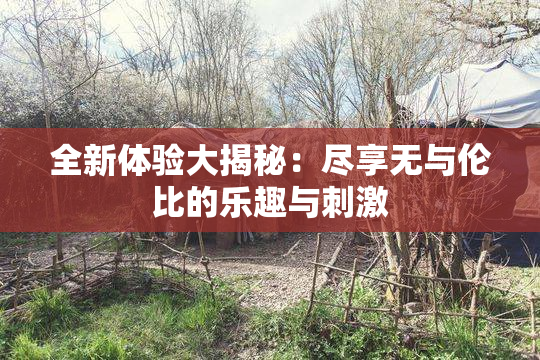 全新体验大揭秘：尽享无与伦比的乐趣与刺激