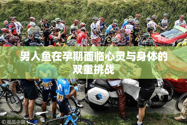 男人鱼在孕期面临心灵与身体的双重挑战