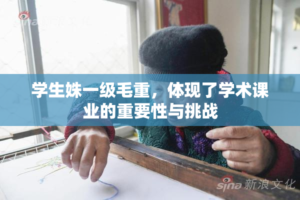 学生姝一级毛重，体现了学术课业的重要性与挑战