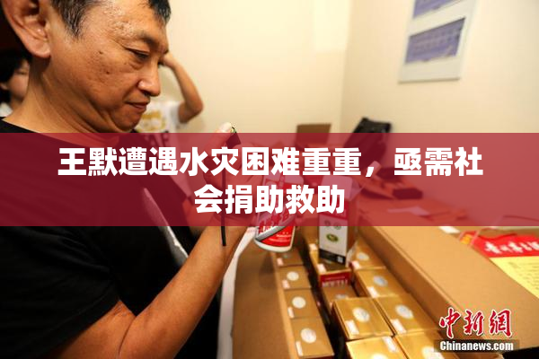 王默遭遇水灾困难重重，亟需社会捐助救助