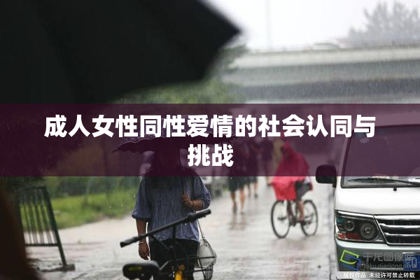 成人女性同性爱情的社会认同与挑战