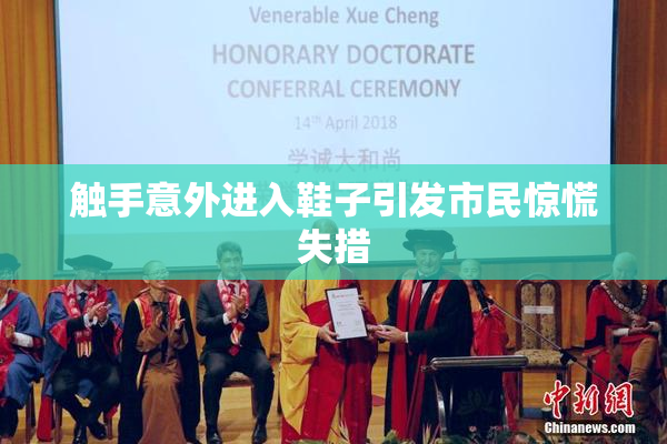 触手意外进入鞋子引发市民惊慌失措