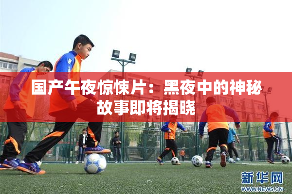 国产午夜惊悚片：黑夜中的神秘故事即将揭晓