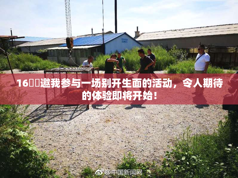 16妺妺邀我参与一场别开生面的活动，令人期待的体验即将开始！