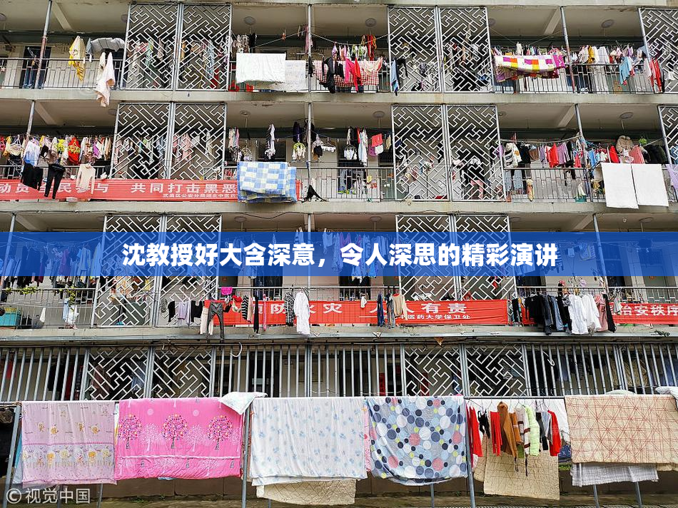 沈教授好大含深意，令人深思的精彩演讲