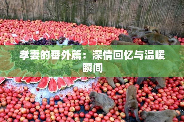 孝妻的番外篇：深情回忆与温暖瞬间