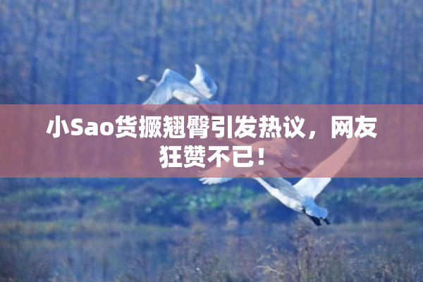 小Sao货撅翘臀引发热议，网友狂赞不已！