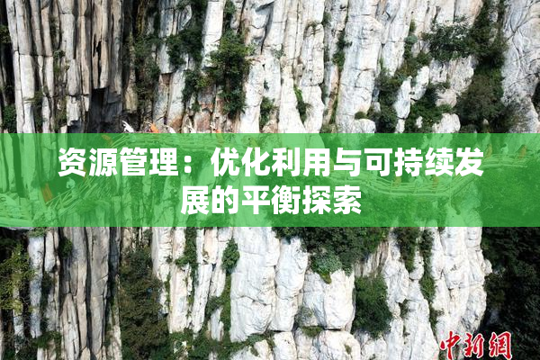 资源管理：优化利用与可持续发展的平衡探索