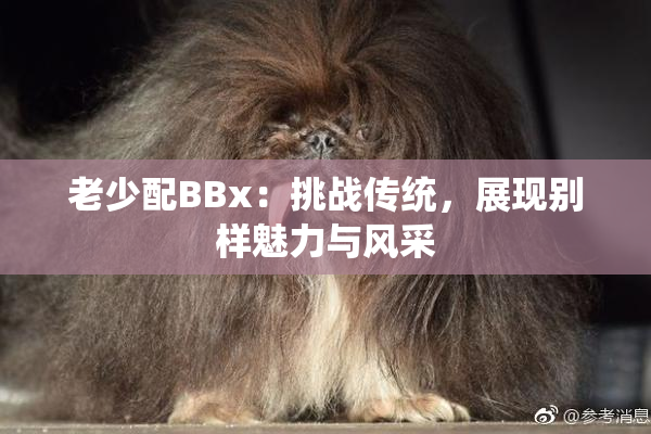 老少配BBx：挑战传统，展现别样魅力与风采