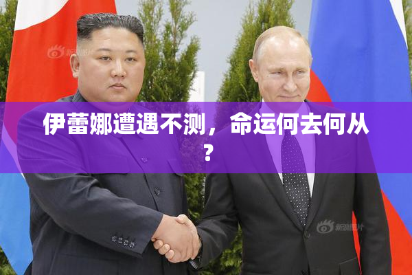伊蕾娜遭遇不测，命运何去何从？