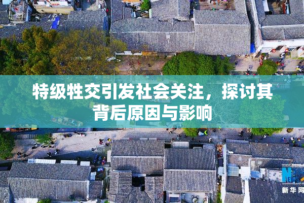 特级牲交引发社会关注，探讨其背后原因与影响