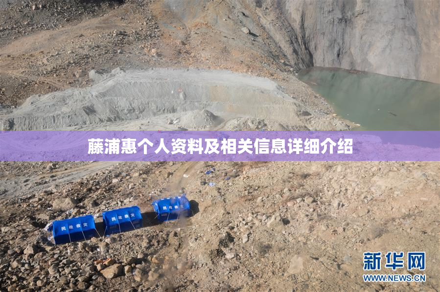 藤浦惠个人资料及相关信息详细介绍