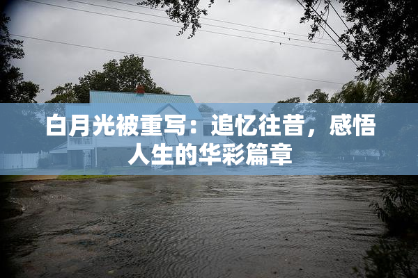 白月光被重写：追忆往昔，感悟人生的华彩篇章