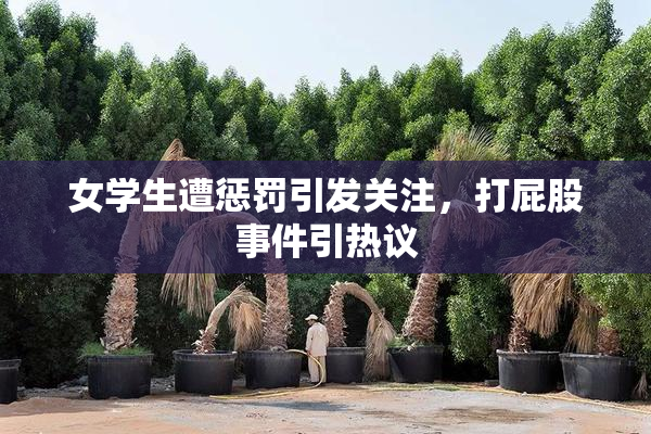 女学生遭惩罚引发关注，打屁股事件引热议