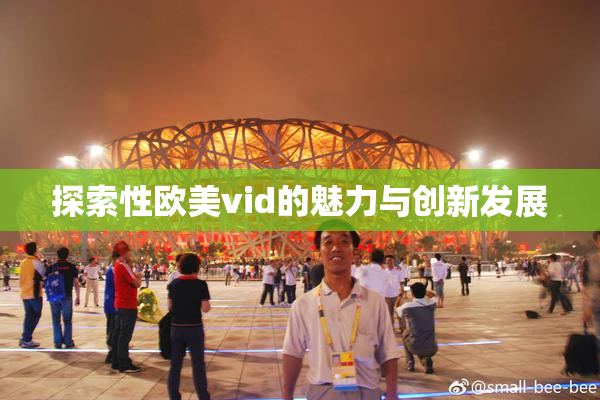 探索性欧美vid的魅力与创新发展