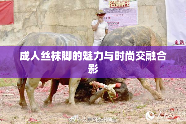 成人丝袜脚的魅力与时尚交融合影