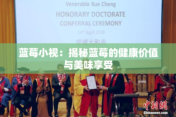 蓝莓小视：揭秘蓝莓的健康价值与美味享受