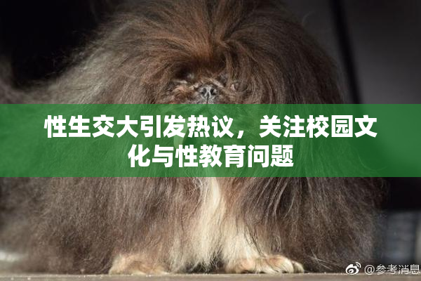 性生交大引发热议，关注校园文化与性教育问题