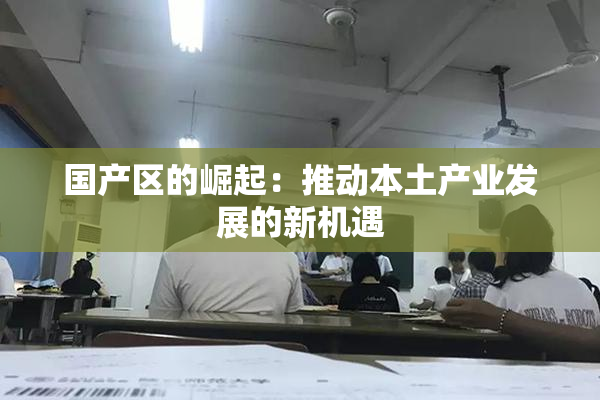 国产区的崛起：推动本土产业发展的新机遇