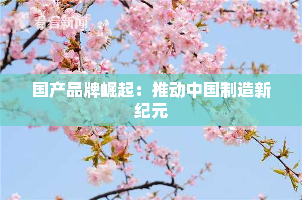 国产品牌崛起：推动中国制造新纪元