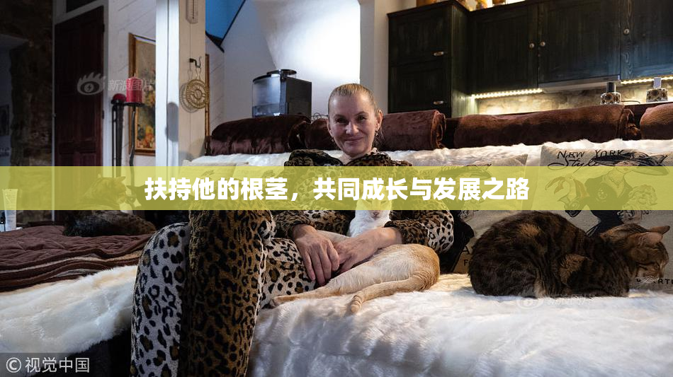 扶持他的根茎，共同成长与发展之路