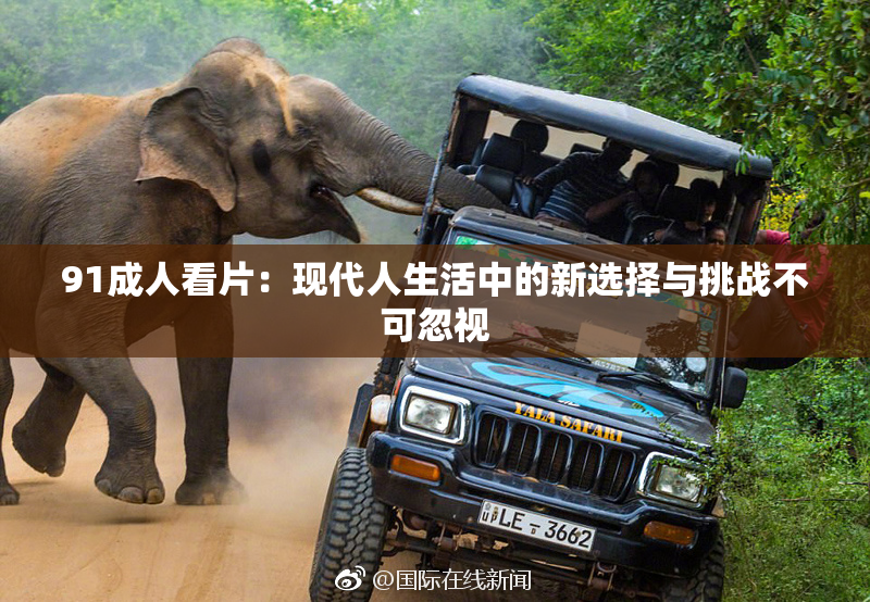 91成人看片：现代人生活中的新选择与挑战不可忽视